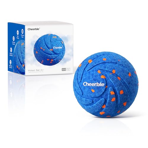 Wicked Ball