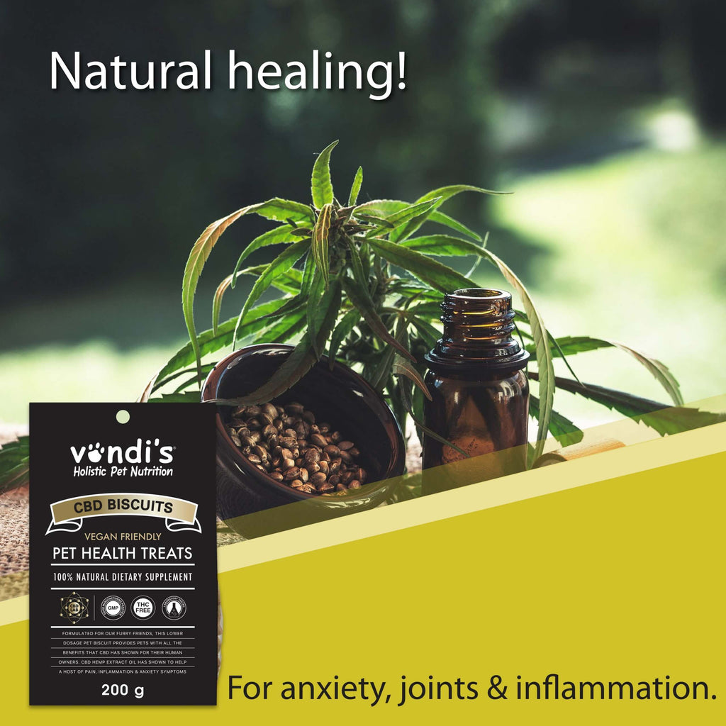 CBD Oil Biscuit