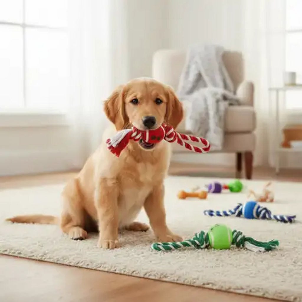 Dog Rope Toy with Tennis Ball (Pack of 2)
