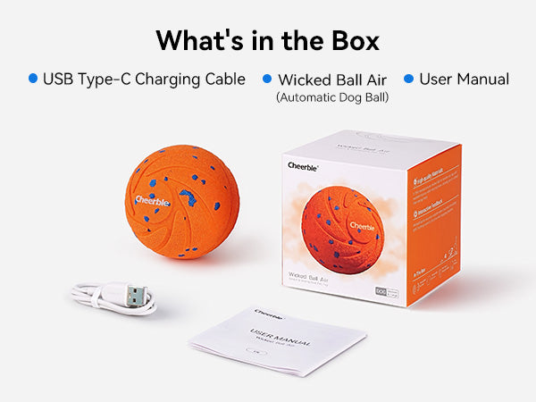 Wicked Ball